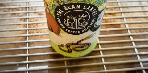 A Bean Cartel, Origin Coffee Roasters branded takeaway cup on the bar at Salt n Pepa Cafe.